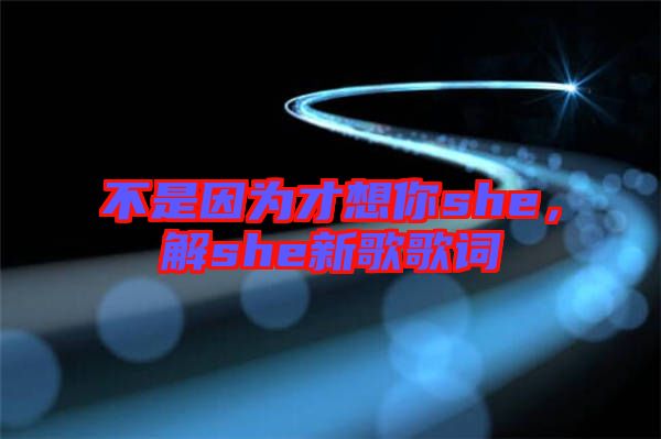 不是因為才想你she，解she新歌歌詞