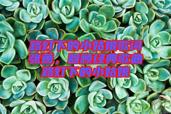 路燈下的小姑娘歌詞張薔，回顧經(jīng)典歌曲路燈下的小姑娘