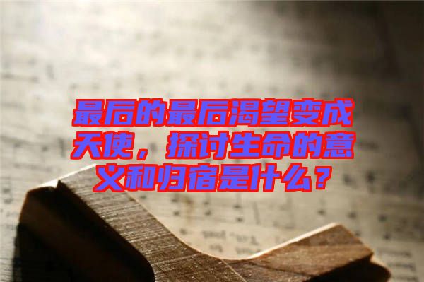 最后的最后渴望變成天使，探討生命的意義和歸宿是什么？