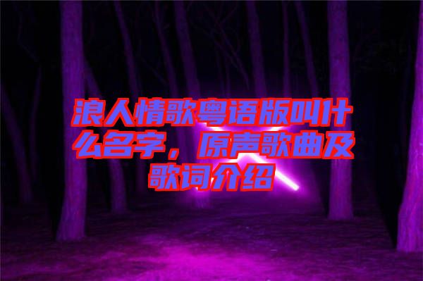 浪人情歌粵語版叫什么名字，原聲歌曲及歌詞介紹