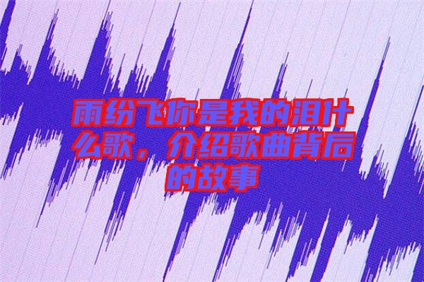 雨紛飛你是我的淚什么歌，介紹歌曲背后的故事