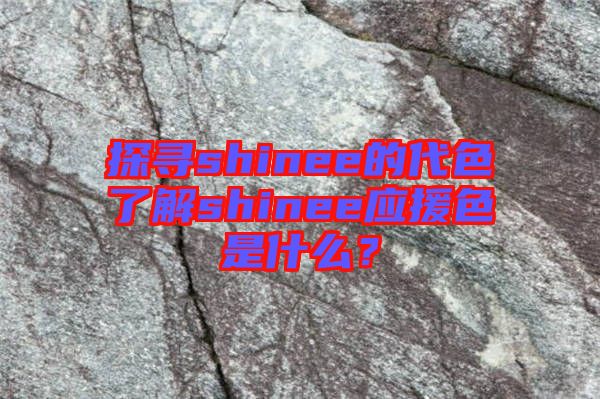 探尋shinee的代色了解shinee應(yīng)援色是什么？