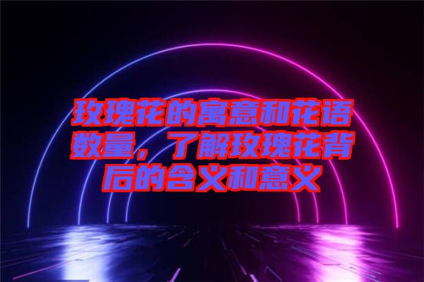 玫瑰花的寓意和花語數(shù)量，了解玫瑰花背后的含義和意義