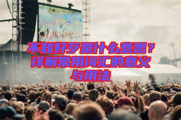 不知好歹是什么意思？詳解常用詞匯的意義與用法