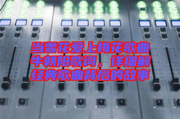 當(dāng)雪花愛上梅花歌曲牛朝陽歌詞，詳細(xì)解經(jīng)典歌曲背后的故事