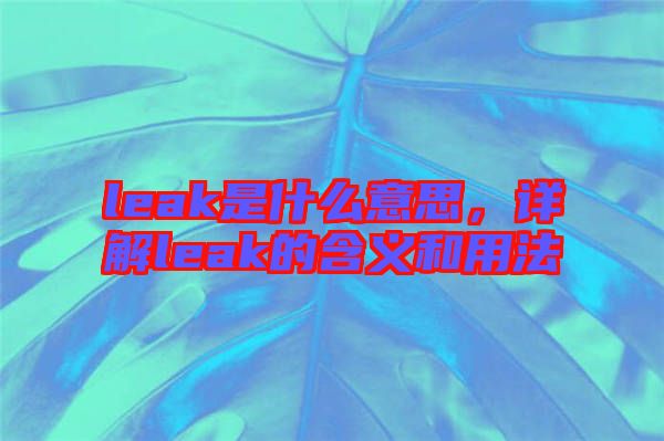 leak是什么意思，詳解leak的含義和用法