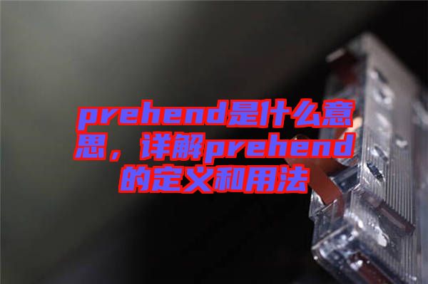 prehend是什么意思，詳解prehend的定義和用法