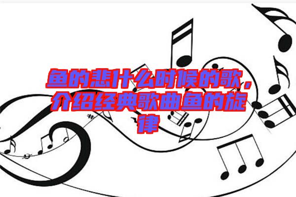 魚的悲什么時候的歌，介紹經(jīng)典歌曲魚的旋律