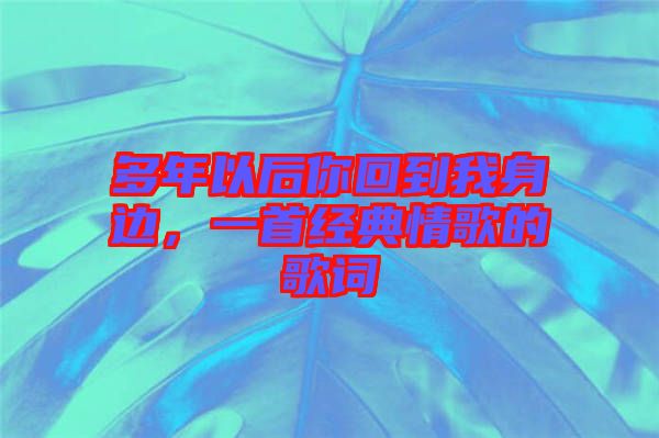 多年以后你回到我身邊，一首經(jīng)典情歌的歌詞