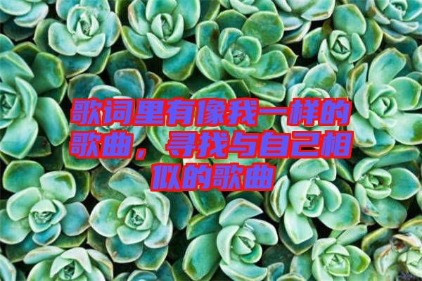 歌詞里有像我一樣的歌曲，尋找與自己相似的歌曲