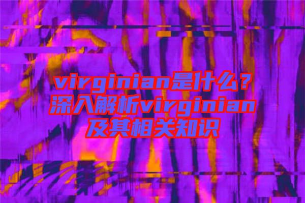 virginian是什么？深入解析virginian及其相關(guān)知識