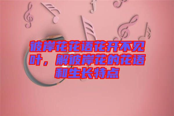 彼岸花花語(yǔ)花開(kāi)不見(jiàn)葉，解彼岸花的花語(yǔ)和生長(zhǎng)特點(diǎn)