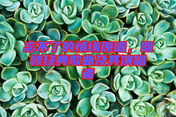 忘不了的情緣原唱，回顧經(jīng)典歌曲及其演唱者