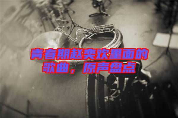 青春期趙奕歡里面的歌曲，原聲盤(pán)點(diǎn)