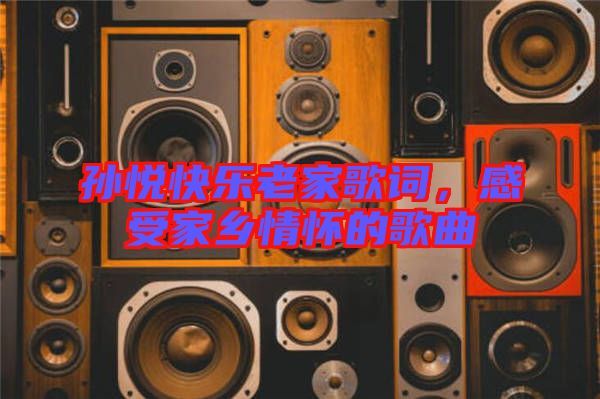 孫悅快樂老家歌詞，感受家鄉(xiāng)情懷的歌曲