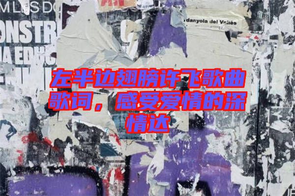 左半邊翅膀許飛歌曲歌詞，感受愛情的深情達(dá)