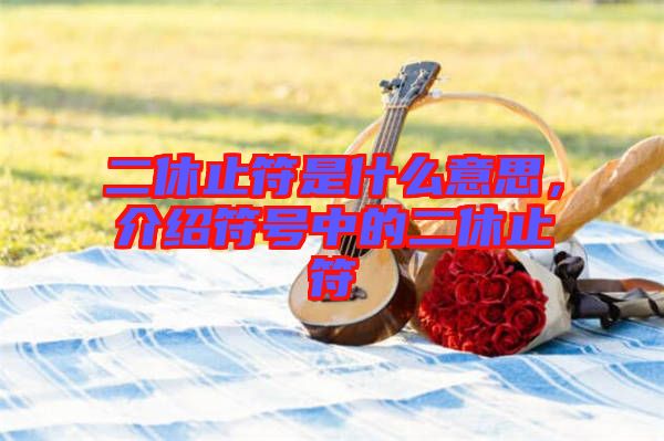 二休止符是什么意思，介紹符號中的二休止符