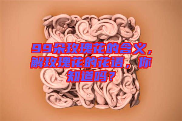 99朵玫瑰花的含義，解玫瑰花的花語，你知道嗎？