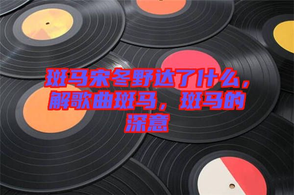 斑馬宋冬野達(dá)了什么，解歌曲斑馬，斑馬的深意