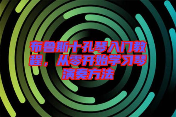 布魯斯十孔琴入門教程，從零開始學(xué)習(xí)琴演奏方法