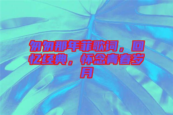 匆匆那年菲歌詞，回憶經(jīng)典，懷念青春歲月