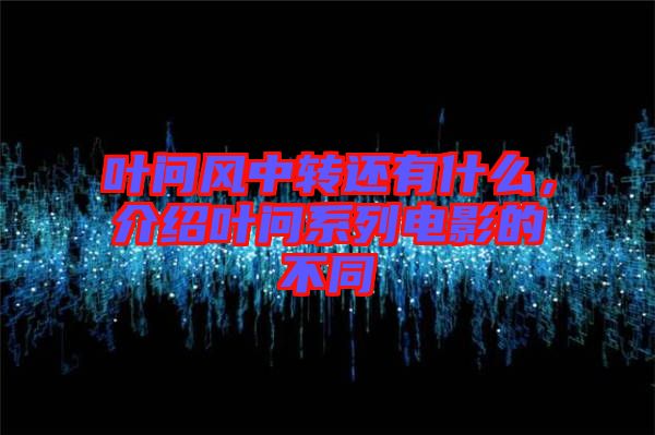 葉問風(fēng)中轉(zhuǎn)還有什么，介紹葉問系列電影的不同