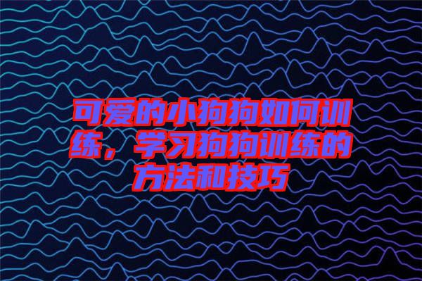 可愛的小狗狗如何訓(xùn)練，學(xué)習(xí)狗狗訓(xùn)練的方法和技巧