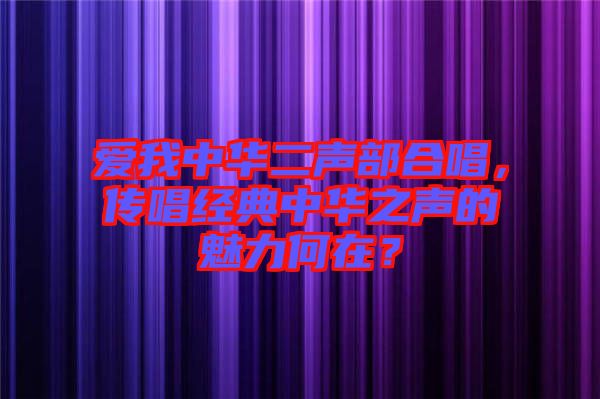 愛我中華二聲部合唱，傳唱經典中華之聲的魅力何在？