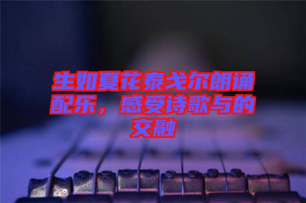 生如夏花泰戈?duì)柪收b配樂(lè)，感受詩(shī)歌與的交融