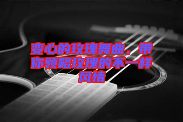 變心的玫瑰舞曲，帶你領(lǐng)略玫瑰的不一樣風(fēng)情