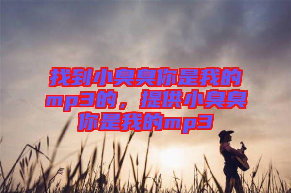 找到小臭臭你是我的mp3的，提供小臭臭你是我的mp3