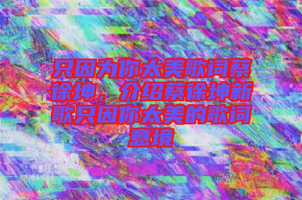 只因?yàn)槟闾栏柙~蔡徐坤，介紹蔡徐坤新歌只因你太美的歌詞意境