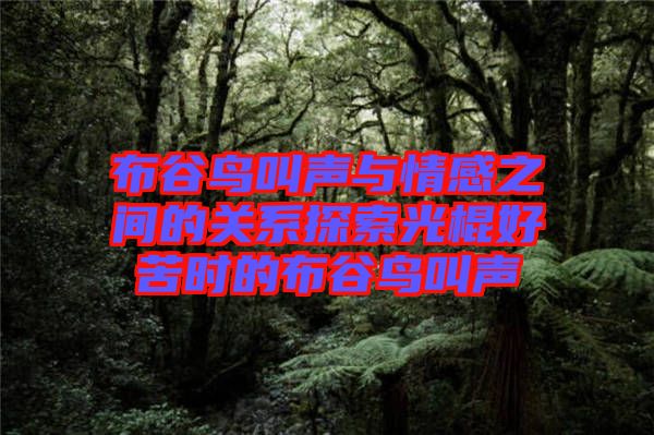 布谷鳥(niǎo)叫聲與情感之間的關(guān)系探索光棍好苦時(shí)的布谷鳥(niǎo)叫聲