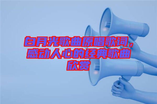 白月光歌曲原唱歌詞，感動人心的經(jīng)典歌曲欣賞