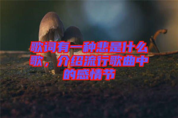 歌詞有一種悲是什么歌，介紹流行歌曲中的感情節(jié)