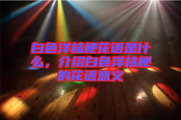 白色洋桔?；ㄕZ是什么，介紹白色洋桔梗的花語意義