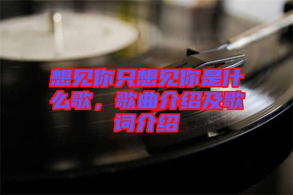 想見你只想見你是什么歌，歌曲介紹及歌詞介紹