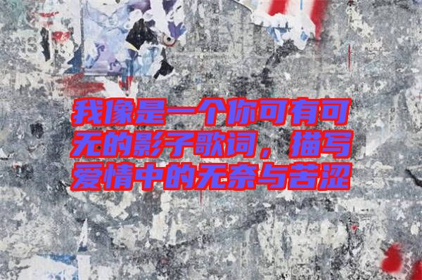 我像是一個你可有可無的影子歌詞，描寫愛情中的無奈與苦澀