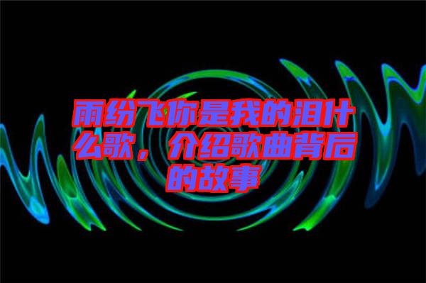 雨紛飛你是我的淚什么歌，介紹歌曲背后的故事