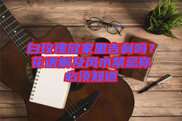 白玫瑰放家里吉利嗎？花語解及風水禁忌你必須知道