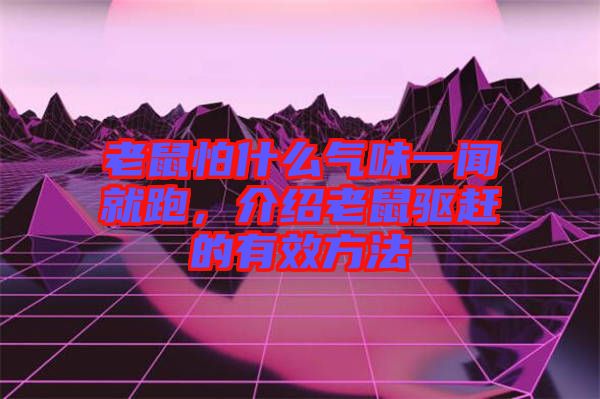 老鼠怕什么氣味一聞就跑，介紹老鼠驅(qū)趕的有效方法