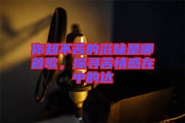 你知不苦的滋味是哪首歌，探尋苦情感在中的達