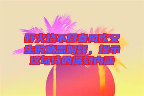 野火燒不盡春風(fēng)吹又生的意思解釋，提示這句詩的深刻內(nèi)涵