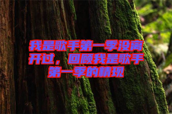 我是歌手第一季沒離開過，回顧我是歌手第一季的精現(xiàn)