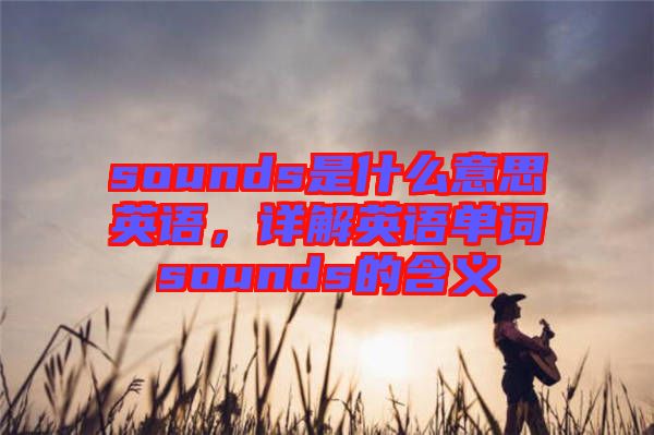 sounds是什么意思英語(yǔ)，詳解英語(yǔ)單詞sounds的含義