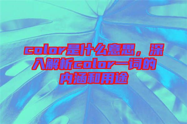 color是什么意思，深入解析color一詞的內(nèi)涵和用途