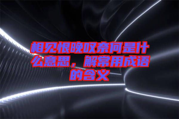 相見恨晚嘆奈何是什么意思，解常用成語的含義