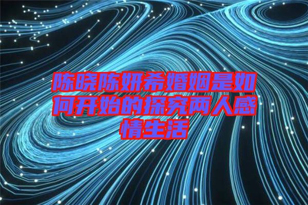 陳曉陳妍?；橐鍪侨绾伍_(kāi)始的探究?jī)扇烁星樯? width=