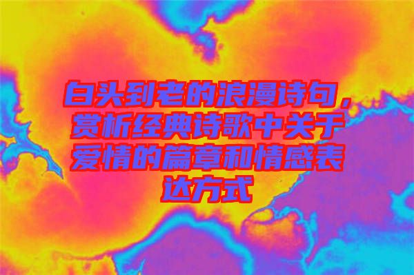 白頭到老的浪漫詩句，賞析經(jīng)典詩歌中關(guān)于愛情的篇章和情感表達方式