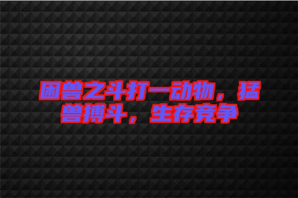 困獸之斗打一動物，猛獸搏斗，生存競爭